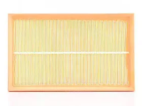 Воздушный фильтр BSG купить